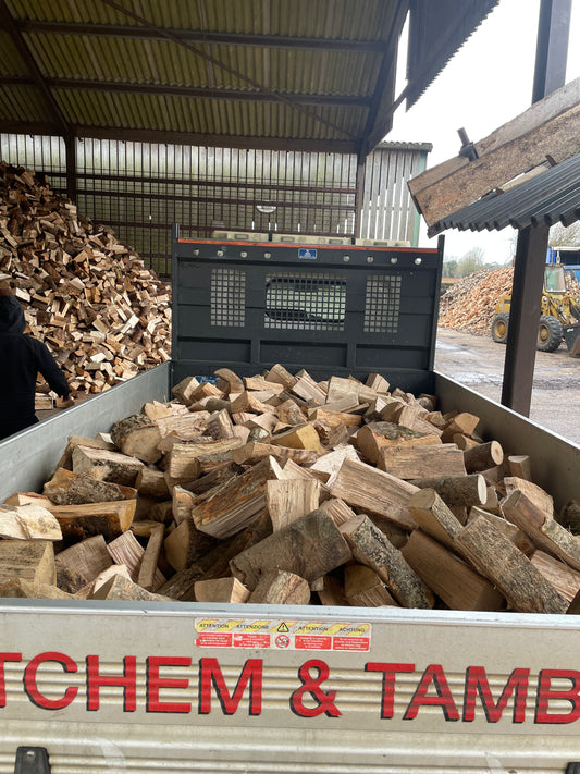 Half Truck Load Of Logs